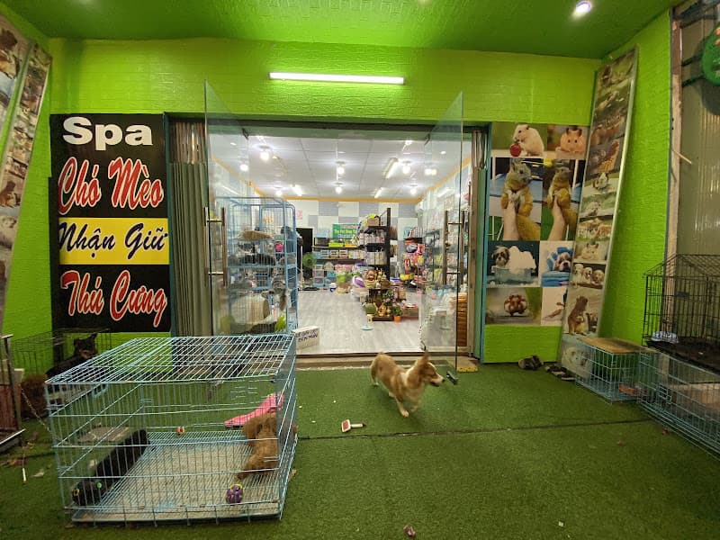 Hình ảnh The Pet Shop Tây Ninh - 5