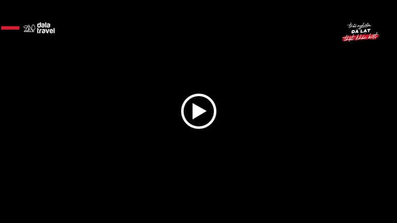 Hình ảnh Dala Travel - Trải nghiệm thiên nhiên Đà Lạt - 4