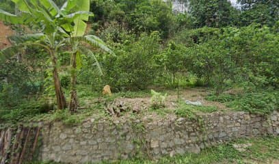 Ảnh bìa Cửa Hàng Uốn Tóc Vi Thị Lợi