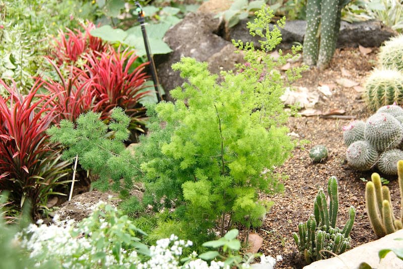 Hình ảnh Vườn Hồng Thanh Trà - 2