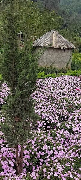 Hình ảnh Bản Thẳm Ecolodge xã bản Hon - 4