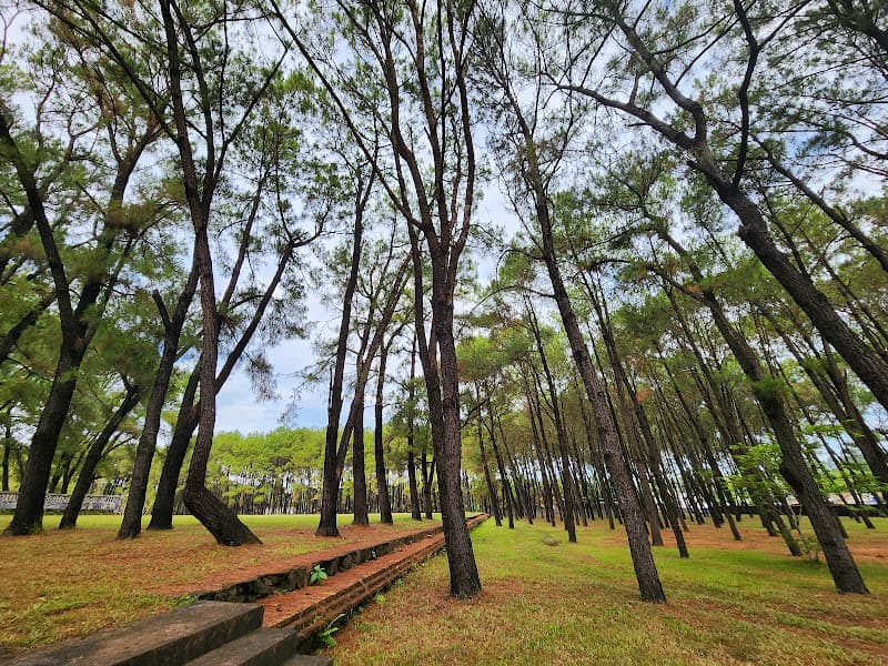 Hình ảnh Đàn Nam Giao - 4