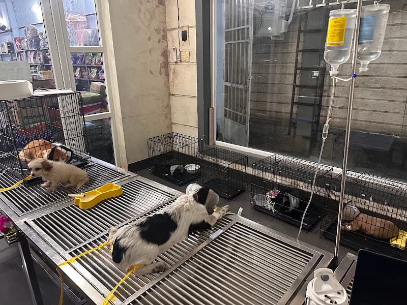 Hình ảnh Phòng Khám Thú Y Hiền Hòa - 6