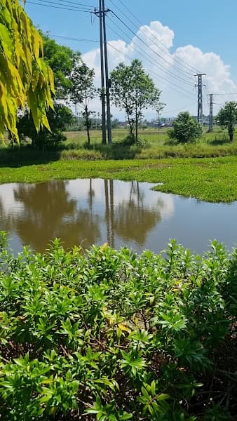 Hình ảnh Đền thờ Trương Định - 4