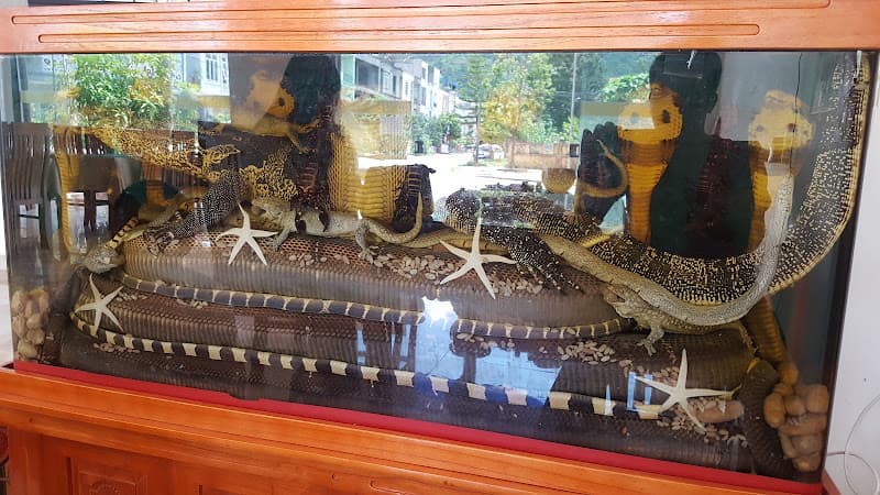 Hình ảnh Nhà hàng Mạnh Hùng - 5