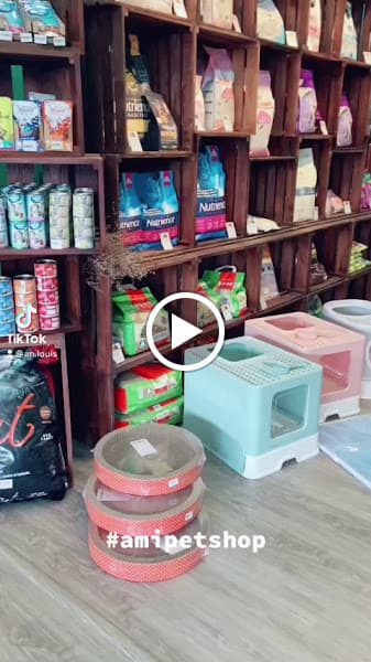 Hình ảnh Siêu thị thú cưng AMI PET SHOP & Cattery Vĩnh Long - 2