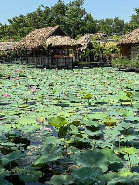 Hình ảnh Vườn sinh thái - Nhà hàng Làng Tôi - 2