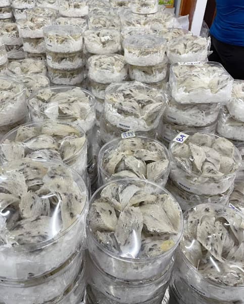 Hình ảnh Tổ Yến Sào Không Gian | Tổ Yến Thô, Yến Tinh Chế, Yến Chưng Sẵn | - 4