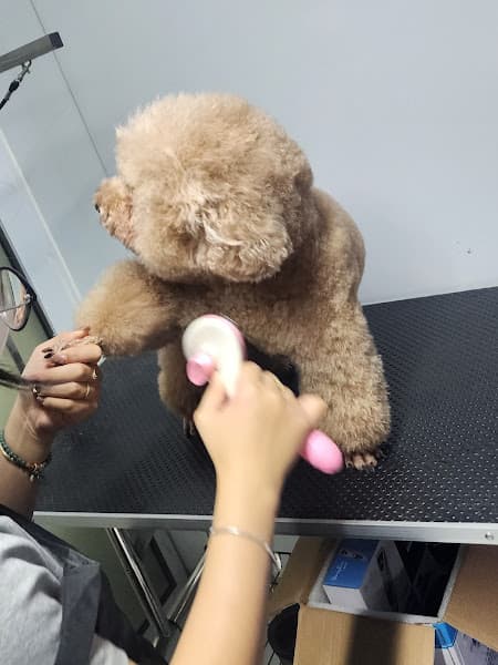 Hình ảnh Phòng Khám Thú Y T-Pet - 3