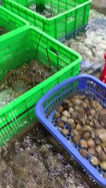 Hình ảnh Nhà hàng Hải sản Vương Anh - 3