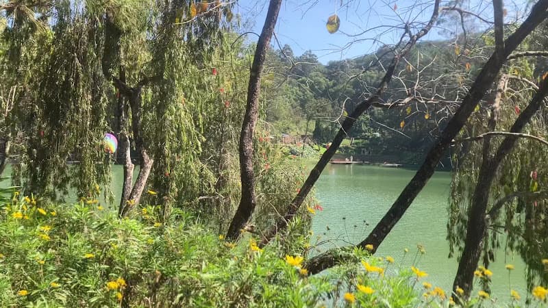 Hình ảnh Công Ty CP Du Lịch Giao Hưởng Xanh - Rừng Giao Hưởng - 5