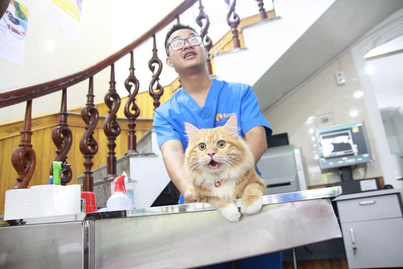 Hình ảnh Bệnh viện Thú y 2vet - Nghệ An - 5