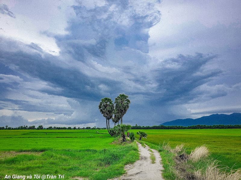 Hình ảnh Hàng Thốt Nốt Khmer Trái Tim - 3