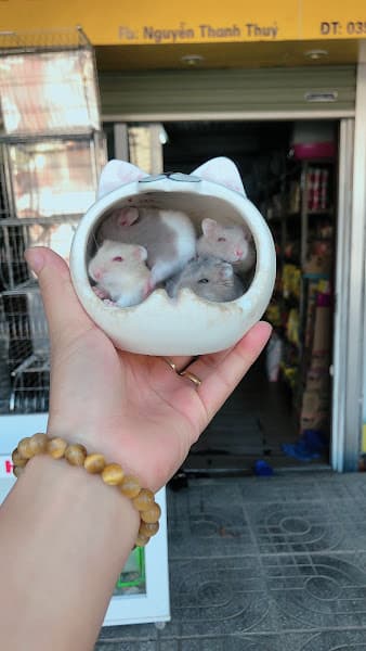 Hình ảnh Shop Thú Cưng Tuyên Quang-Chuyên Đồ cho Pet - 3