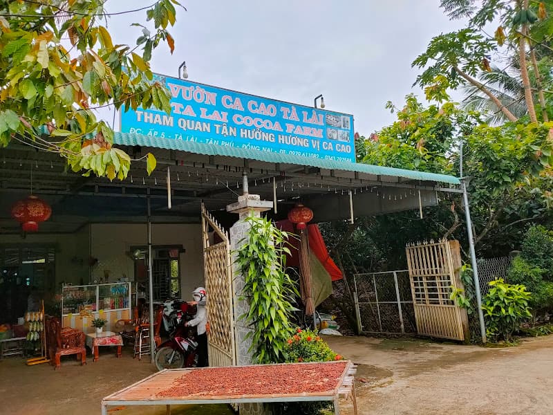 Ảnh bìa Ca cao Tà Lài