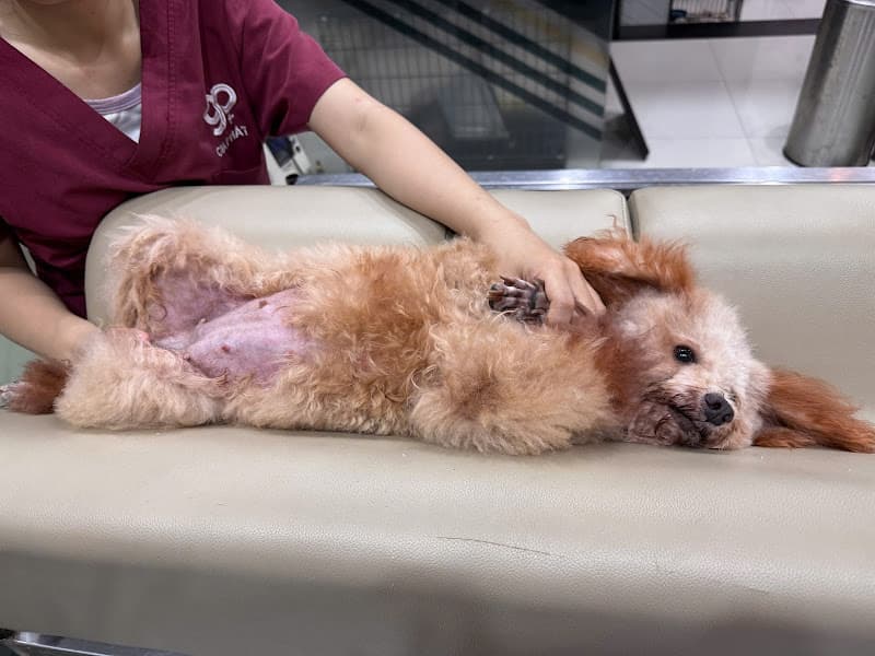 Hình ảnh Thú Y Gia Phát - 5