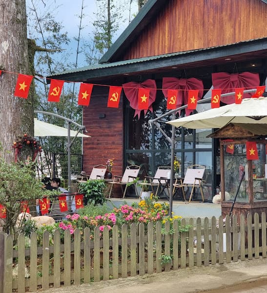 Hình ảnh The Pine Forest Sapa - 4