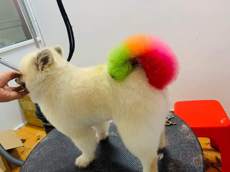 Hình ảnh Phòng Khám Thú Y Minh Tiến Châu Đức - 3