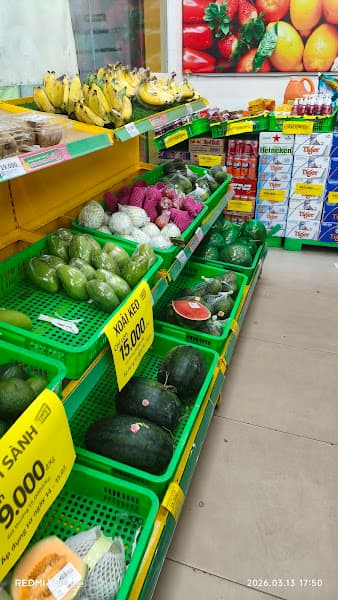 Hình ảnh Siêu thị Bách hoá XANH Xã Long An - 3