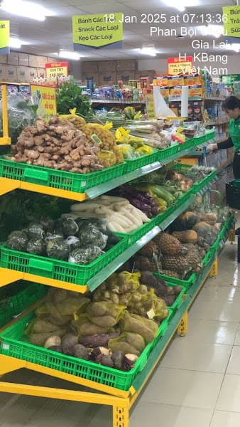 Hình ảnh Bách Hóa Xanh Kbang - Phan Bội Châu - 3