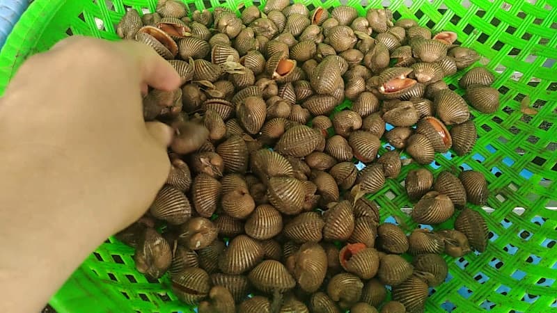 Hình ảnh Hải Sản Vua - 5