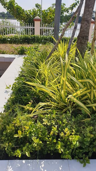 Hình ảnh Di tích Lịch sử Cột Dây Thép - 2