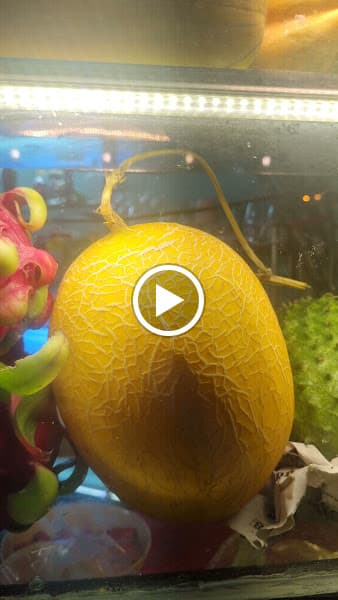 Hình ảnh Sinh Tố Út Liên - 2