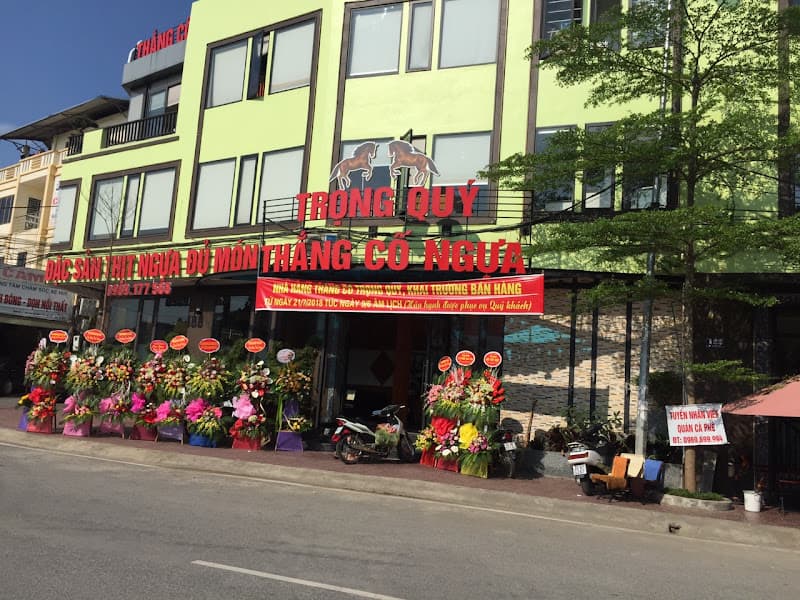 Ảnh bìa THẮNG CỐ TRỌNG QUÝ