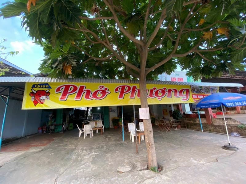 Ảnh bìa Phở Phượng