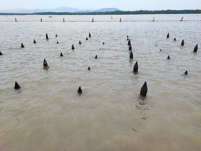 Hình ảnh Bảo Tàng Lịch Sử Chiến Thắng Sông Bạch Đằng - 2