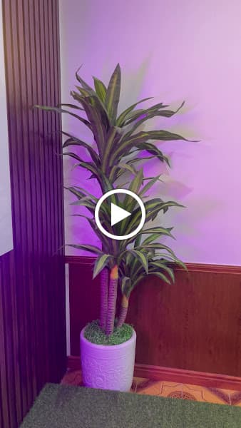 Hình ảnh Nhà Hàng Giang Thức - 2