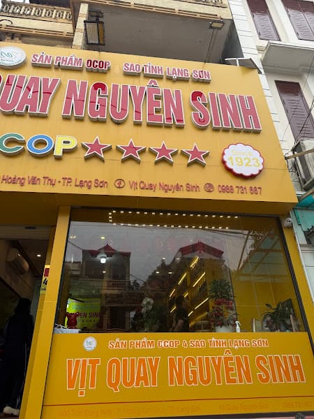 Ảnh bìa Vịt quay Nguyên Sinh