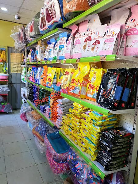 Hình ảnh SHOP CHÓ MÈO - HUẾ (cơ sở 3) 157 Phan Bội Châu - 4