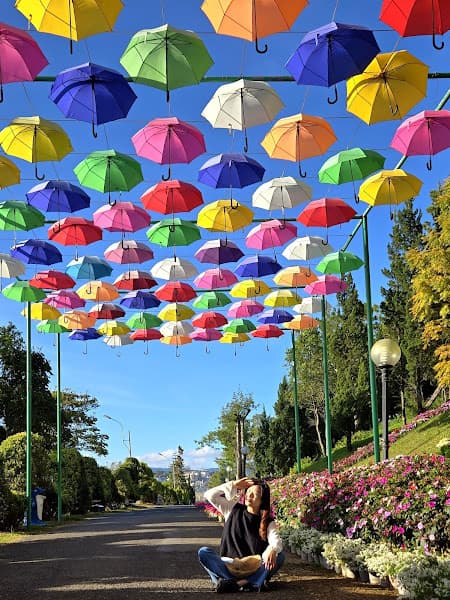 Hình ảnh Vườn hoa thành phố Đà Lạt - 5