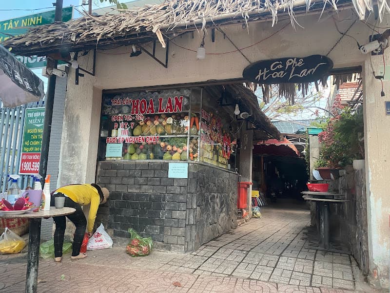 Ảnh bìa Sinh Tố Hoa Lan