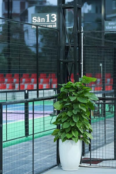 Hình ảnh Sân Pickle Ball Ven Đê 4 - 2