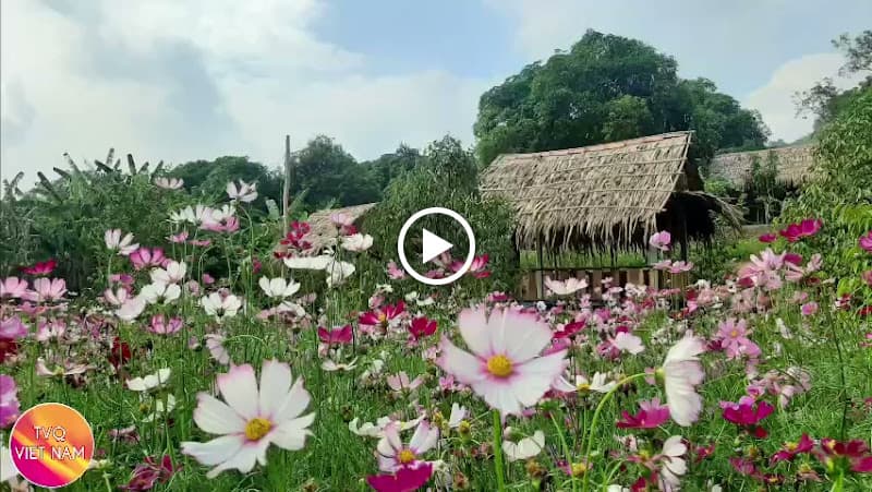 Hình ảnh Quán ăn gia đình Suối Môn - 4