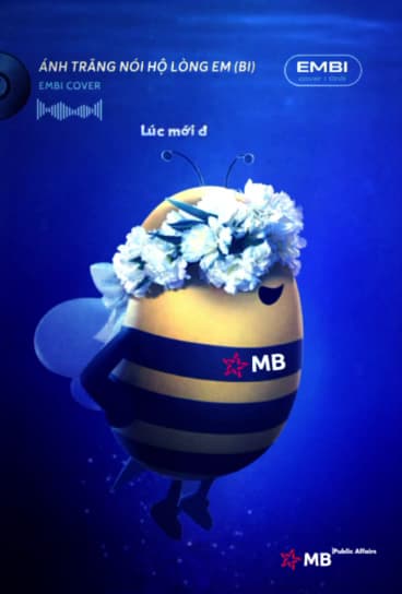 Hình ảnh MB Nam Trường Tiền - 3