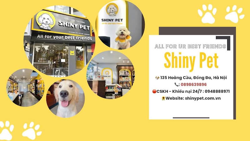 Hình ảnh Shiny Pet Spa & Hotel - Spa thú cưng cao cấp Đống Đa Hà Nội - 5