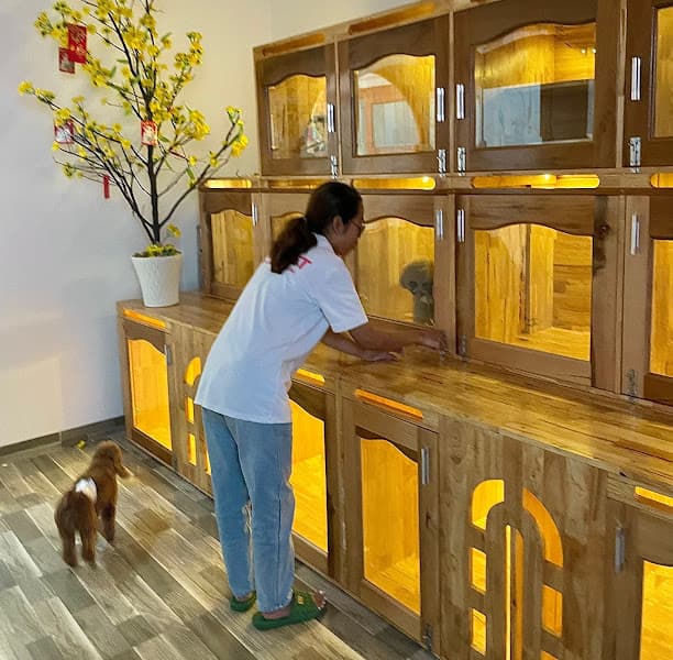 Hình ảnh Nun pet - Tiệm làm đẹp thú cưng - 4