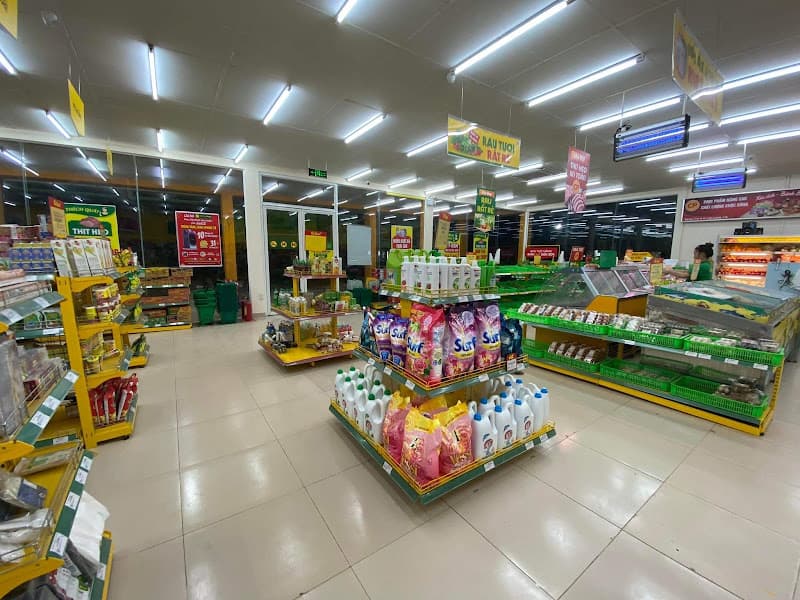 Hình ảnh Siêu thị Bách hoá XANH Ấp Thanh Hùng - 3
