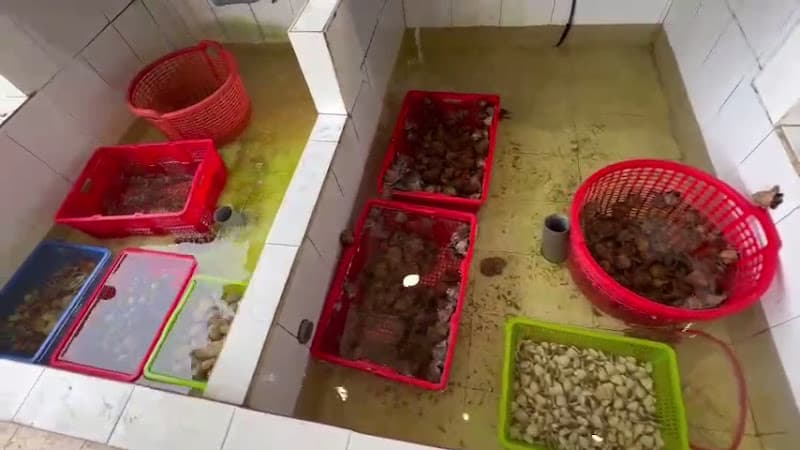 Ảnh bìa Thịnh Phát quán