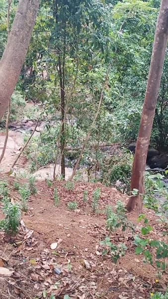 Hình ảnh Thác Liliang - 4