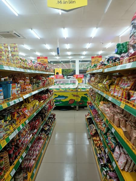 Hình ảnh Siêu thị Bách hóa XANH Đường Gò Tháp - 2