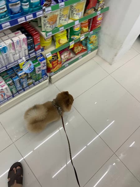 Hình ảnh Nhà thuốc Pharmacity - 2