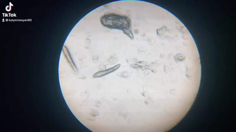 Hình ảnh Phòng Khám Thú Y Thuỷ Nguyên - 4