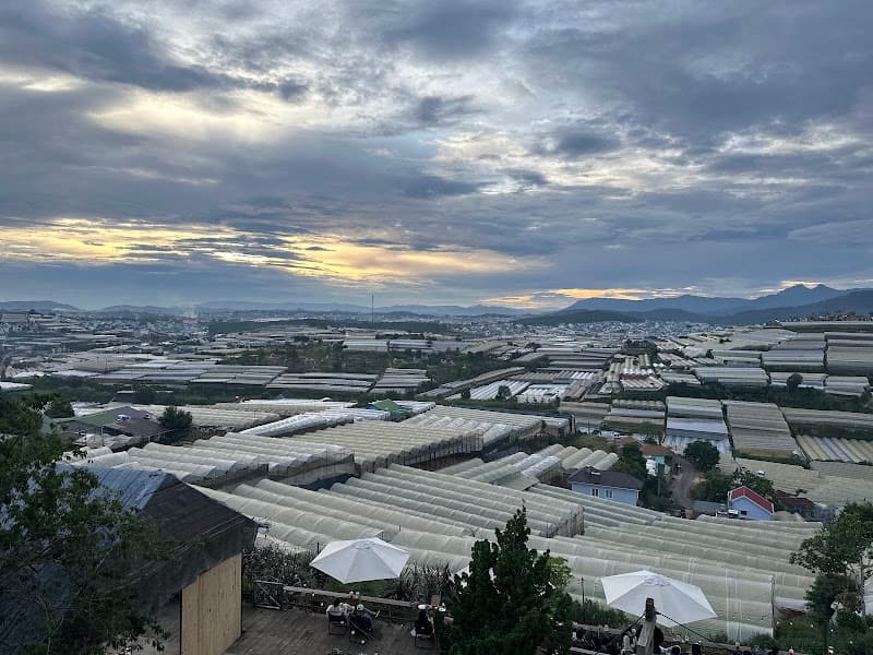 Đà Lạt Hoàng Hôn Trại Mát