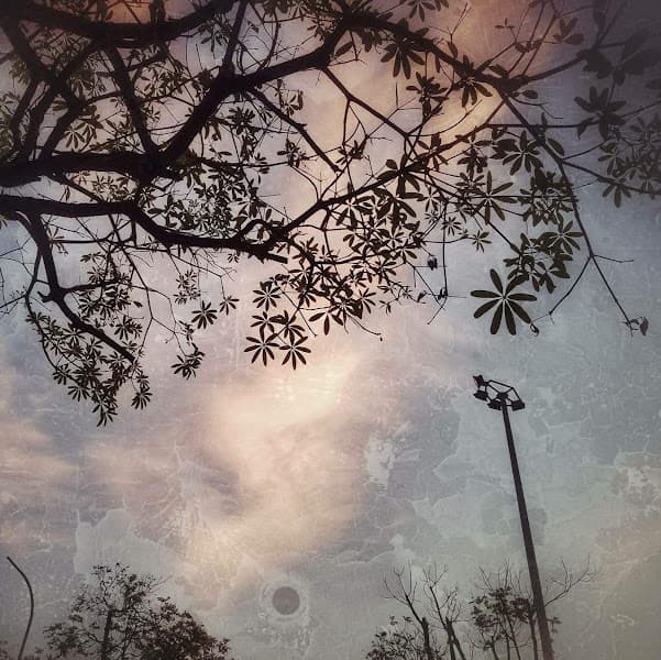 Hình ảnh Sân Pickleball Kim Đức Việt Trì - 5