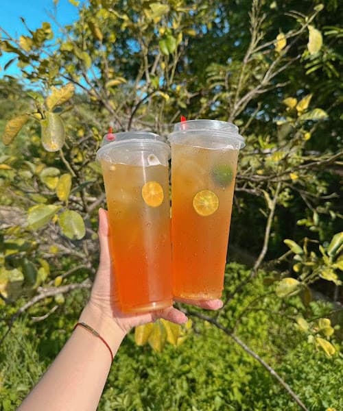 Hình ảnh Pet Store Méo Mèo Meo - 5