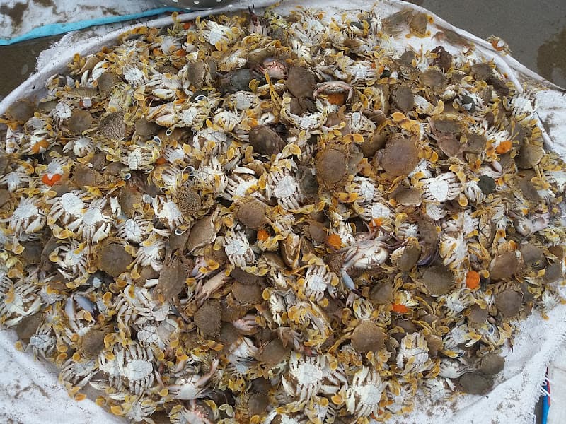 Hình ảnh Karaoke Thanh Thảo - 4